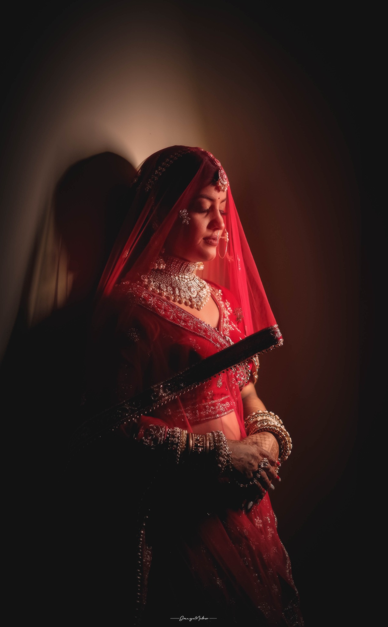 Dramatic Bride Veil Portrait